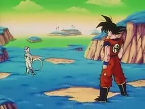 Dbz074-(005001)17-47-18-.JPG-1-