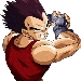 VegetaXz