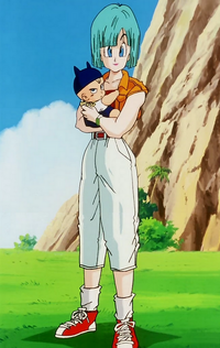 Trunks and Bulma