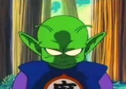 Piccolo 1