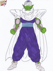 Piccolo DBSF 2