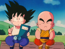 El primer entrenamiento con Roshi | Dragon Ball Fanon Wiki | Fandom El primer entrenamiento con Roshi | Dragon Ball Fanon Wiki | Fandom