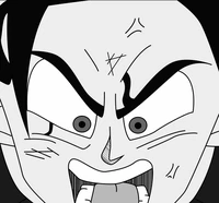 Lucas Raudoken LV x3