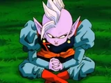 Future Supreme Kai (DBM)