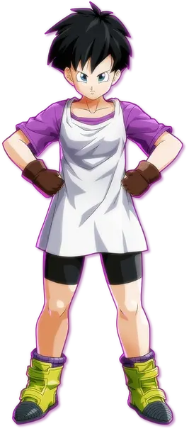 Videl 