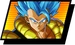 Gogeta (SSGSS) Icon