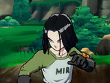 Android 17/Gallery