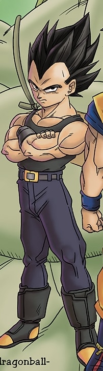 Broly (Universe 20), Dragon Ball Multiverse Wiki