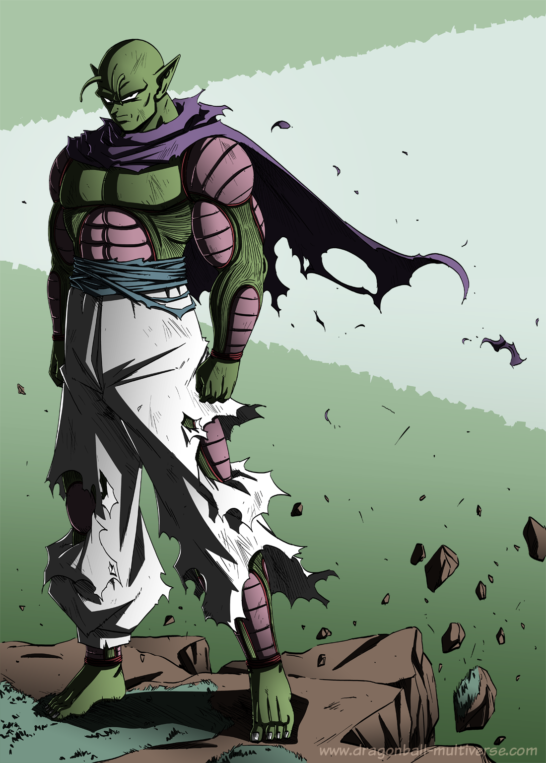 Namekian, Dragon Ball Multiverse Wiki