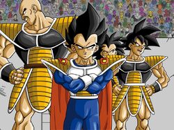 Universe 5  dbz-universe-13