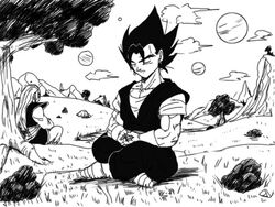 Universe 16: The Birth of Vegetto - Chapter 34, Page 756 - DBMultiverse