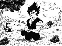 Vegetto training 