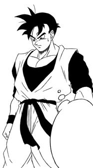 Son Gohan (Universe 12), Dragon Ball Multiverse Wiki