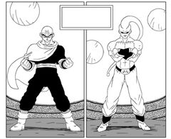 Buu fights Tien