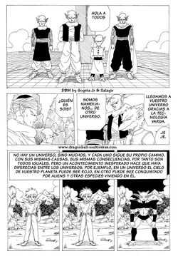 Dragon Ball Multiverse Capitulo 1, Español