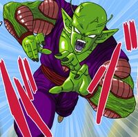 Piccolo 12