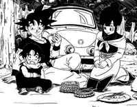 Famiglia Goku pic-nic