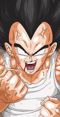 Vegeta 15