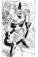 196.jpg (368 КБ) Первое появление Полу-Совершенного Селла в манге