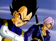 Vegeta&FutureTrunks