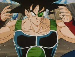 Saga Bardock, Wiki DBNation