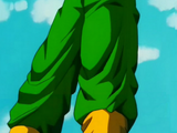 Tien Shinhan