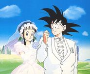 Chichi goku married2