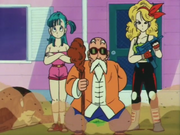 MRoshi,Bulma,Turtle,LaunchRRS