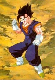 Vegetto photo