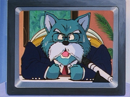 King Furry announcing the offensive to be launched on Cell