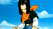 Android17NotTooHappy