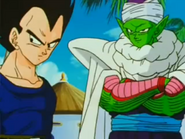 Piccolo with Vegeta at the 25th World Tournament