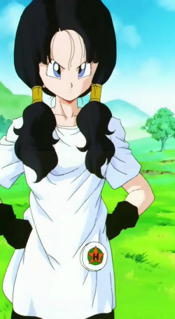 Videl, Dragon Ball Updates Wiki