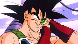 Saga Bardock, Wiki DBNation