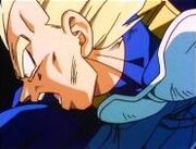 Vegeta dies