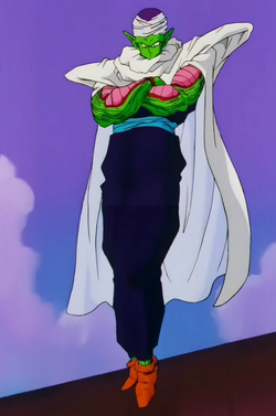 Piccolo Driver's Ed Outfit 