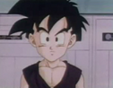 Gohan3