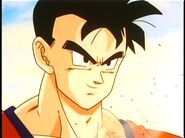 Future Gohan before acquiring his facial scar