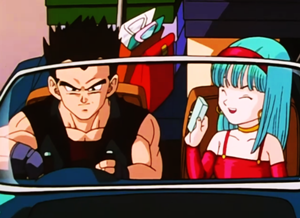 Vegeta E Bulma Brief ∞ Trunks & Bra - Dragon Ball, Z, GT