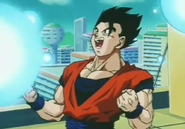 Gohan - 784511100