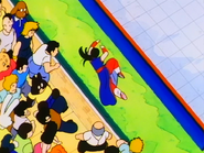 Chi-Chi derrotada por Goku