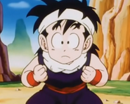 Gohan, five years old.