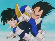 vegeta kneed kid gohan in the stomach