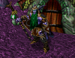Talloon1.png