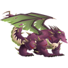 Adult Nirobi Dragon