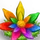 Plant Old 6