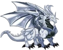 Platin-Drache4