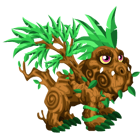 Tropical Dragon 2