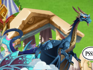 Azure Dragon in Olympus Habitat