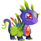 Aurora Dragon 1